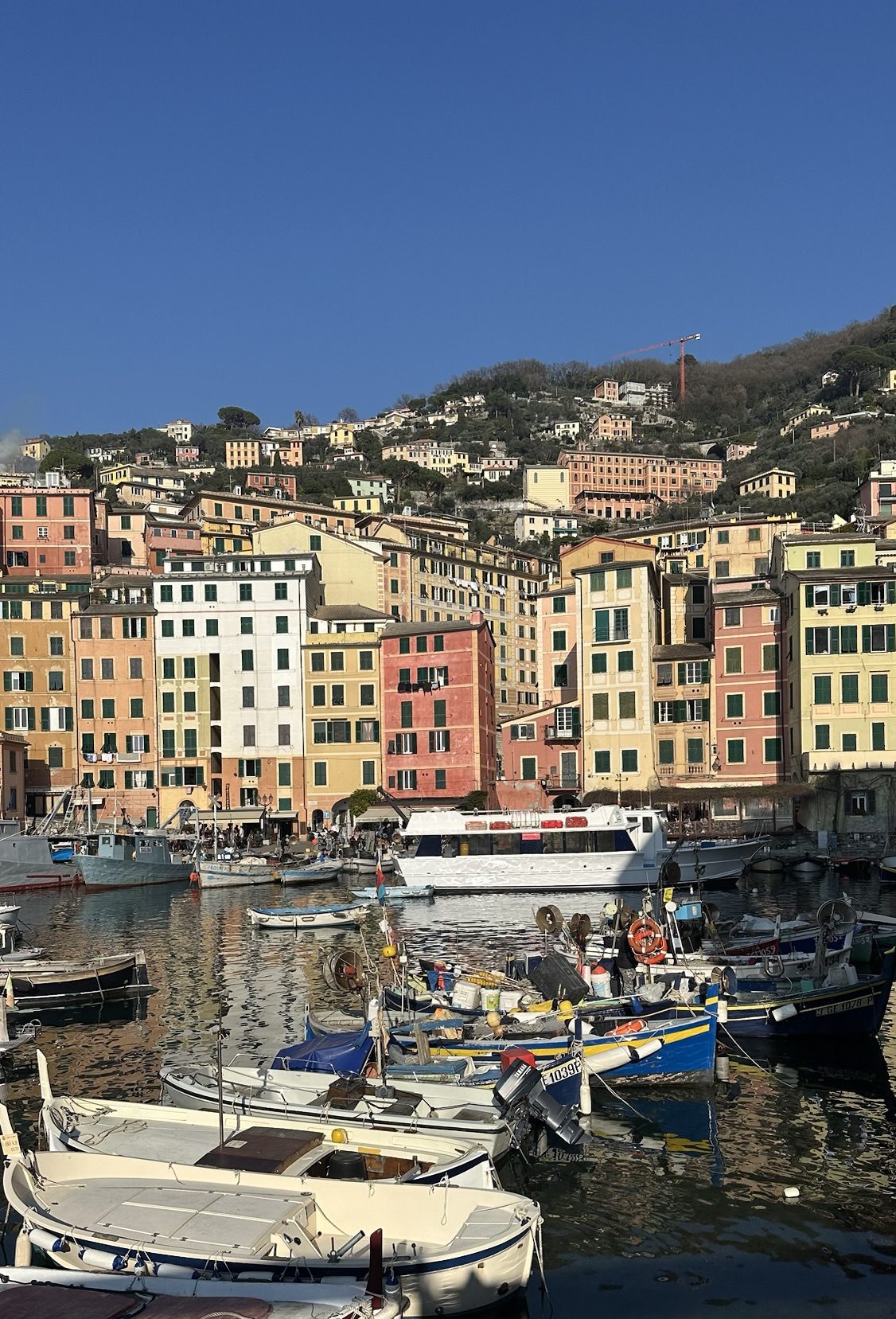 Camogli