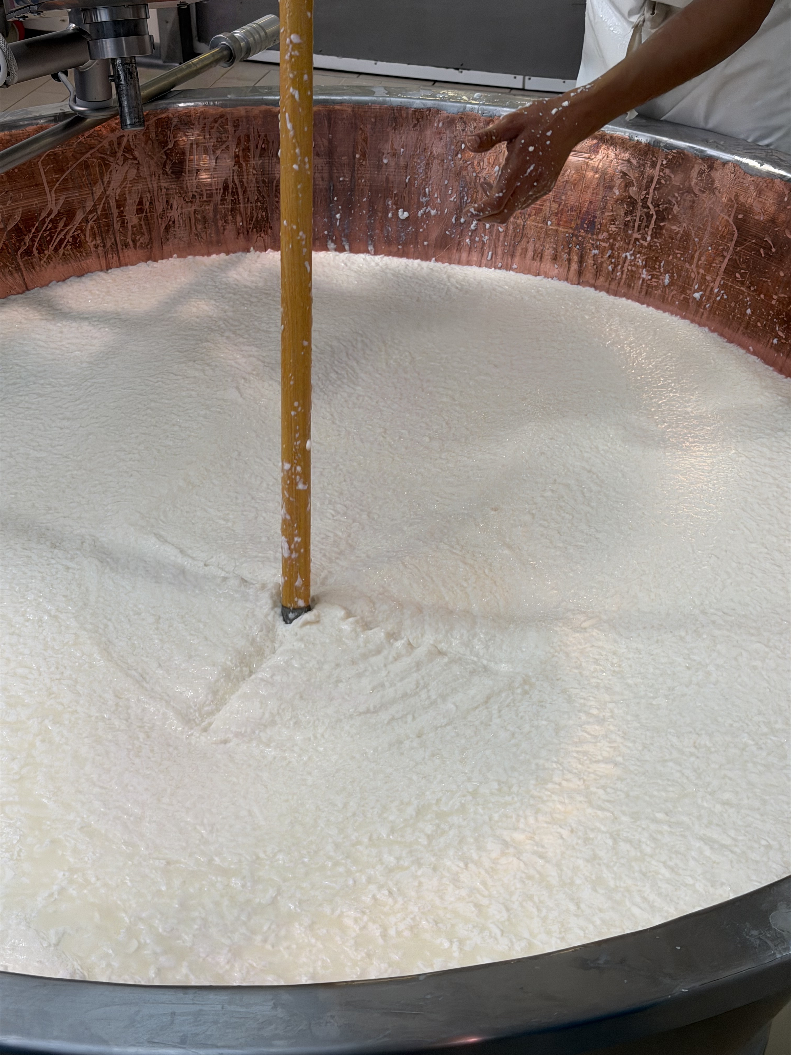Consorzio Parmigiano Reggiano